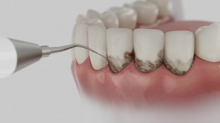 Reliable Dental contractor in Gateway, FL by Dentist Open Now